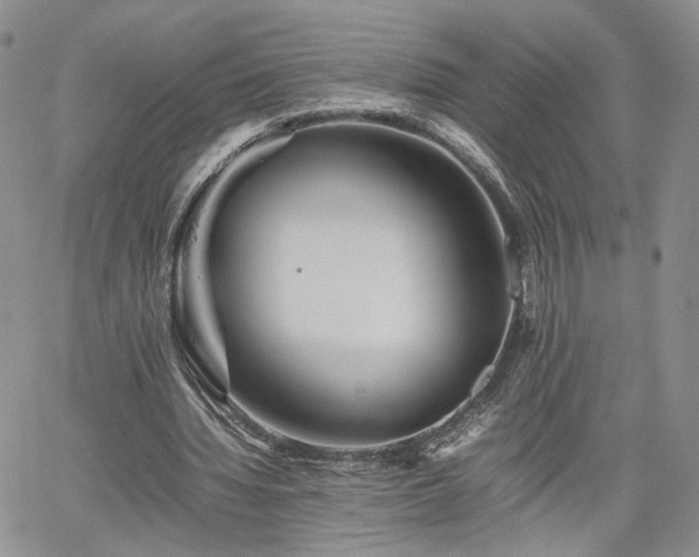 X0000062170436200512091434