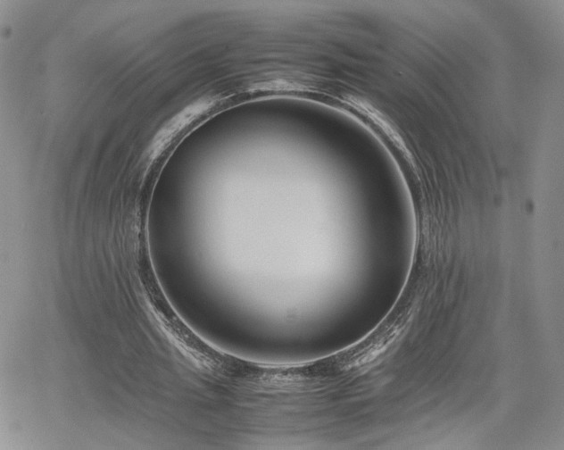 X0000062170437200512091434