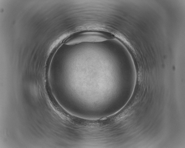 X0000062170438200512091434