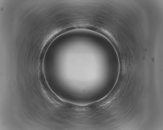 X0000062170439200512091434