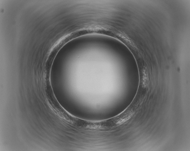 X0000062170440200512091434