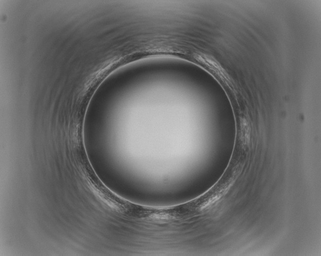 X0000062170441200512091434