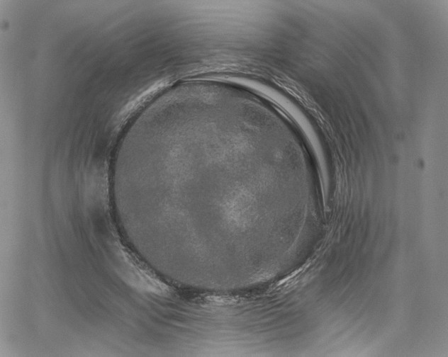 X0000062170442200512091434