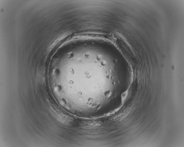 X0000062170443200512091434