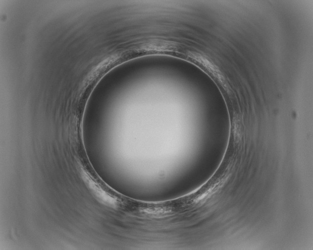 X0000062170445200512091434