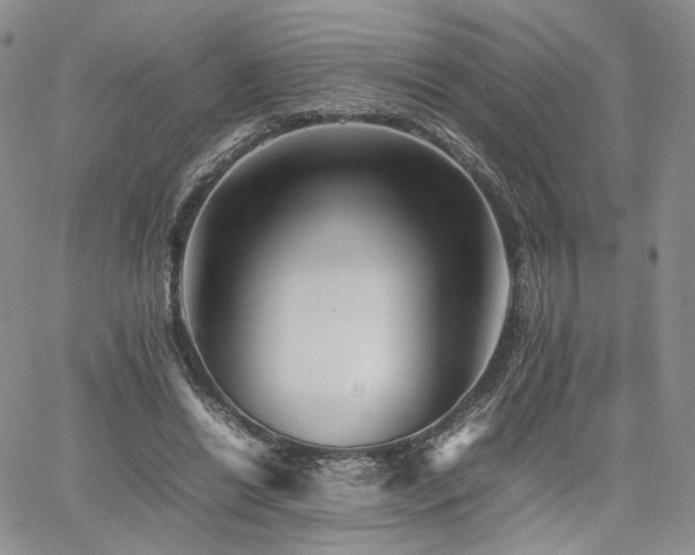 X0000062170446200512091434