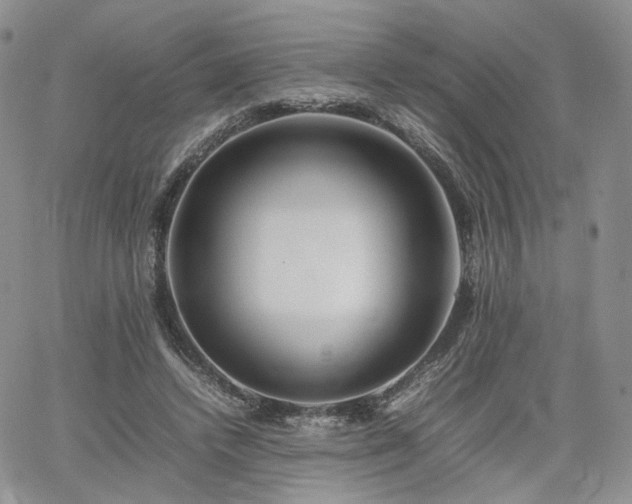 X0000062170448200512091434