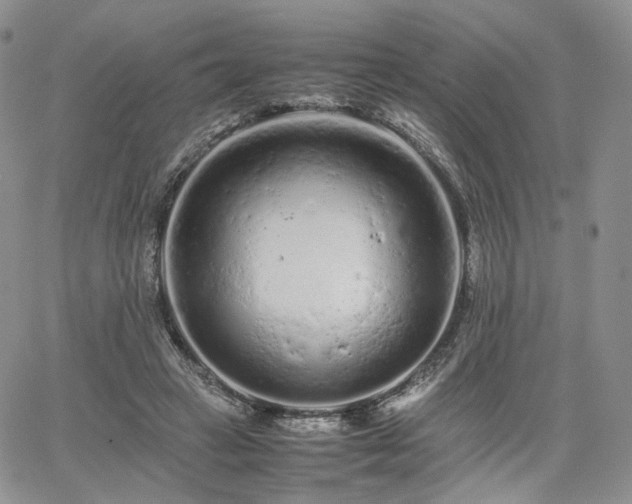 X0000062170449200512091434