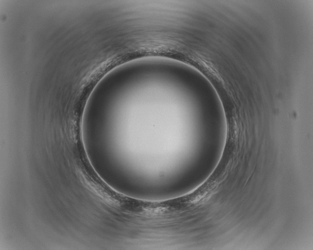 X0000062170450200512091434