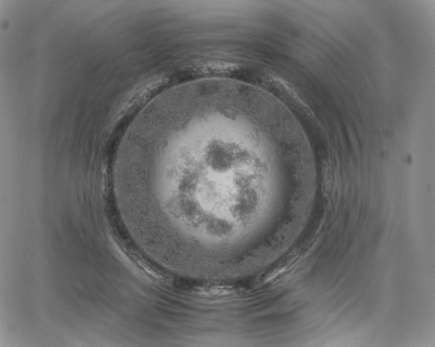 X0000062170451200512091434