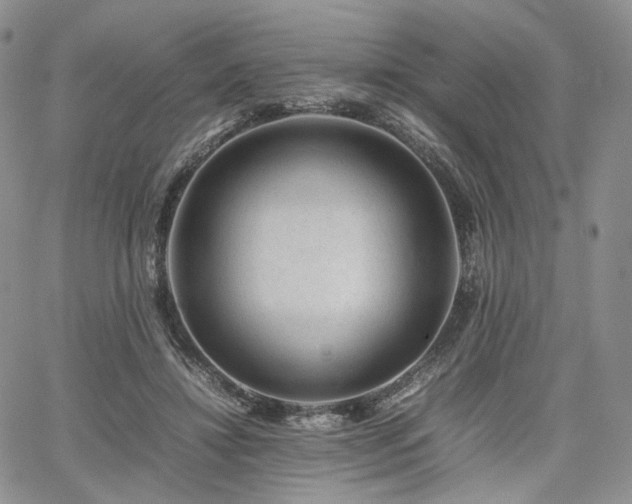 X0000062170452200512091434