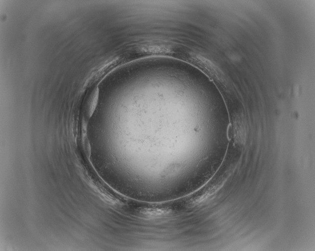 X0000062170453200512091434