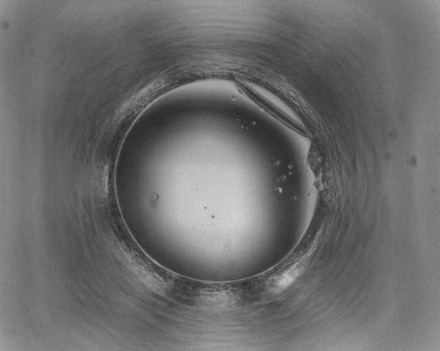 X0000062170454200512091434