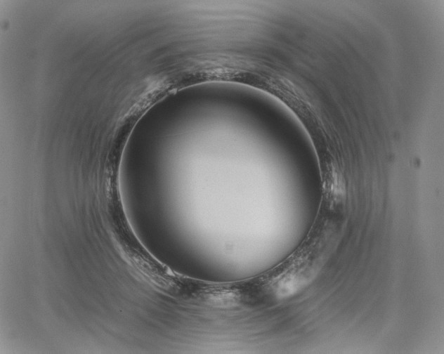 X0000062170456200512091434