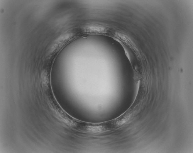 X0000062170457200512091434