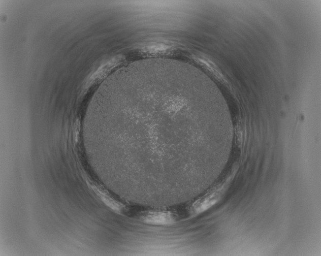 X0000062170458200512091434