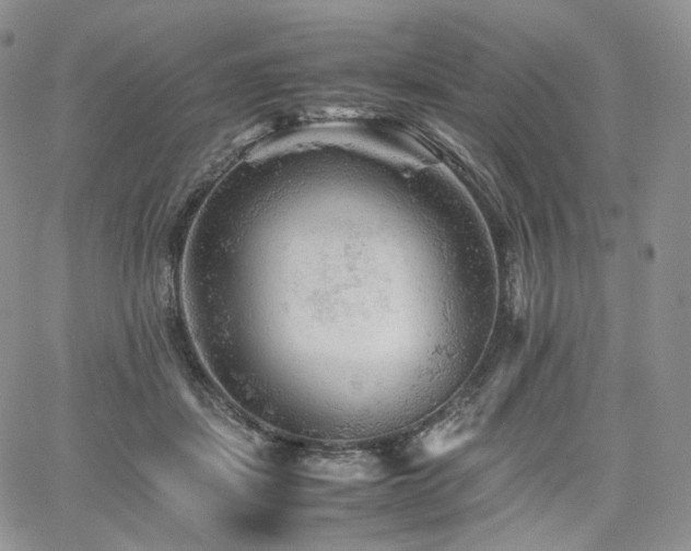 X0000062170459200512091434