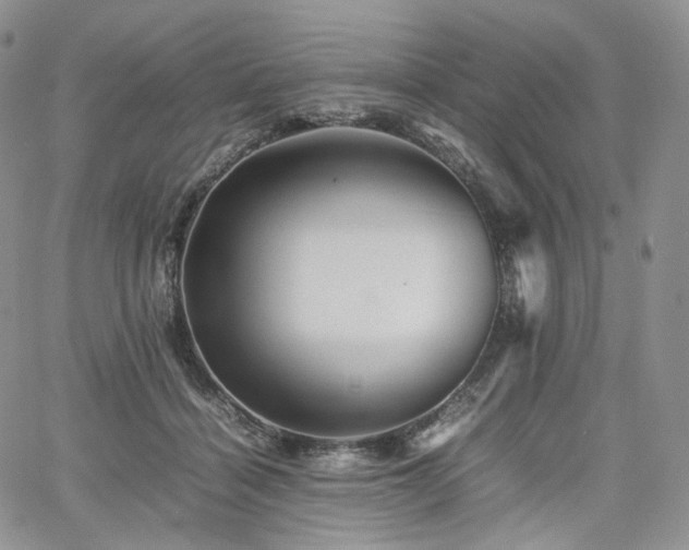 X0000062170460200512091434