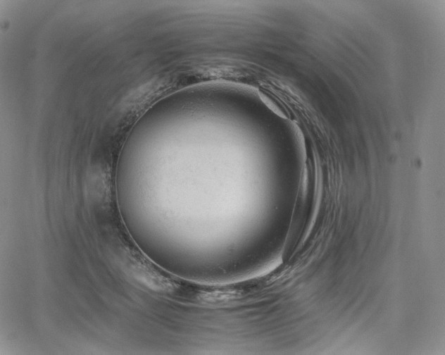 X0000062170461200512091434