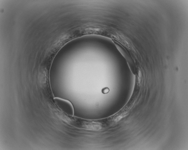 X0000062170463200512091434