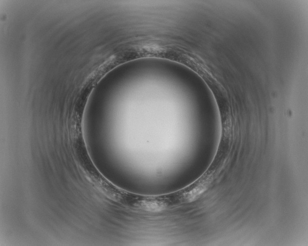 X0000062170464200512091434