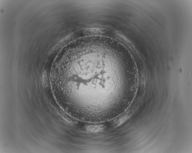 X0000062170465200512091434