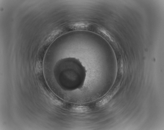 X0000062170467200512091434