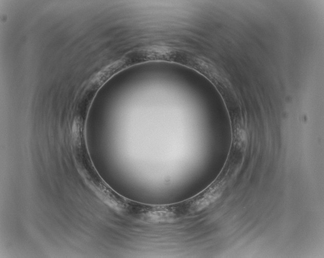 X0000062170468200512091434