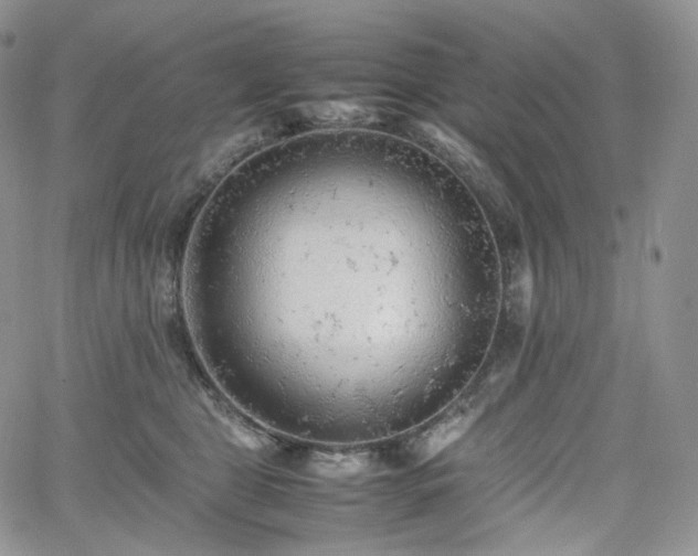 X0000062170469200512091434