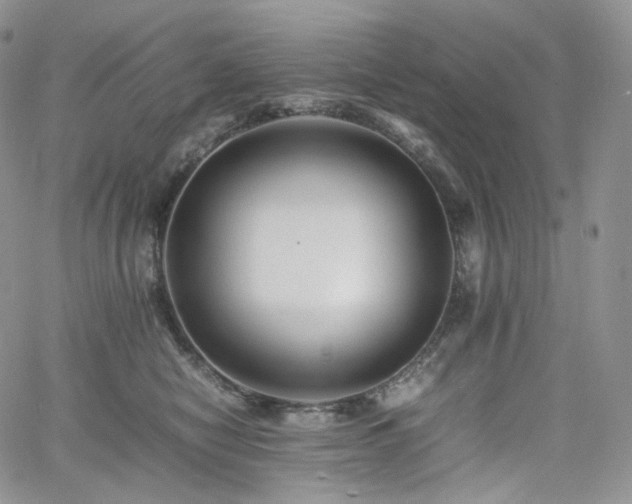 X0000062170470200512091434