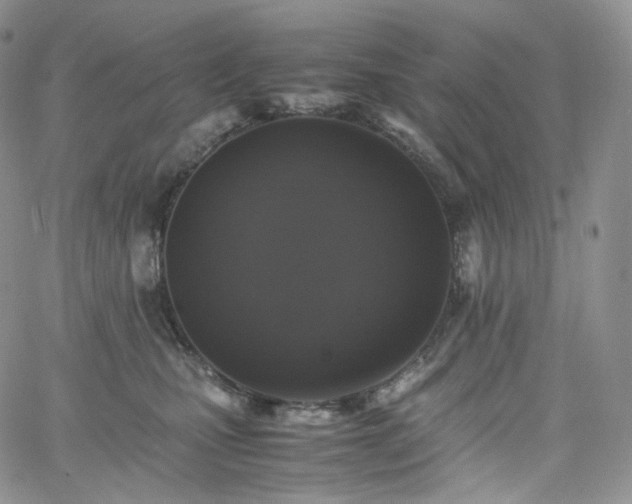 X0000062170471200512091435