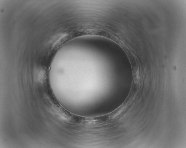 X0000062170472200512091435