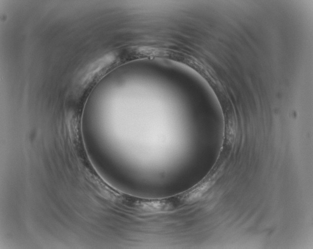 X0000062170473200512091435