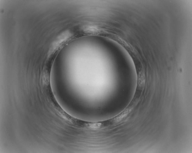 X0000062170474200512091435