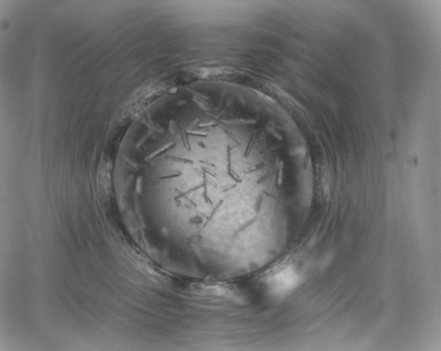 X0000062170475200512091435