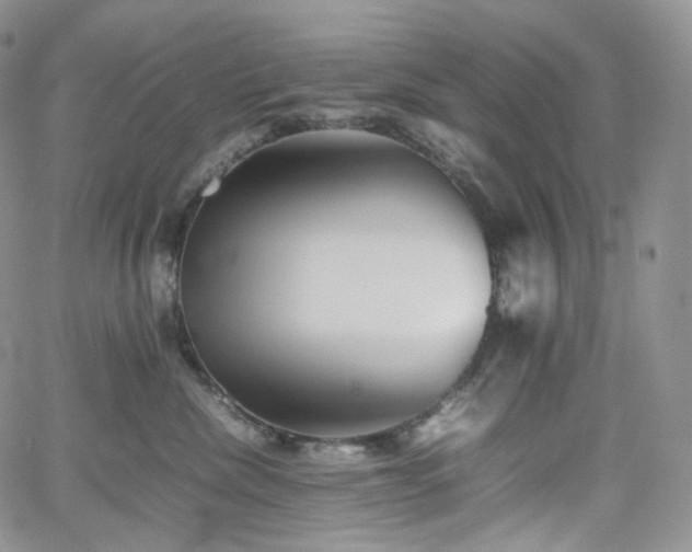 X0000062170476200512091435