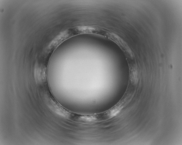 X0000062170477200512091435