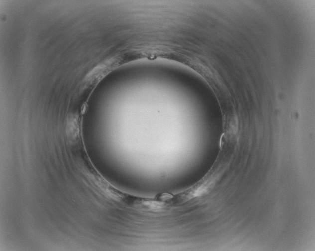 X0000062170478200512091435