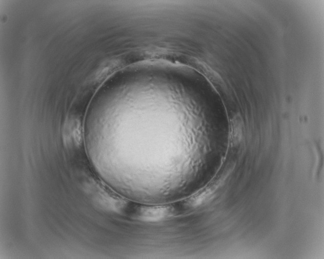 X0000062170479200512091435