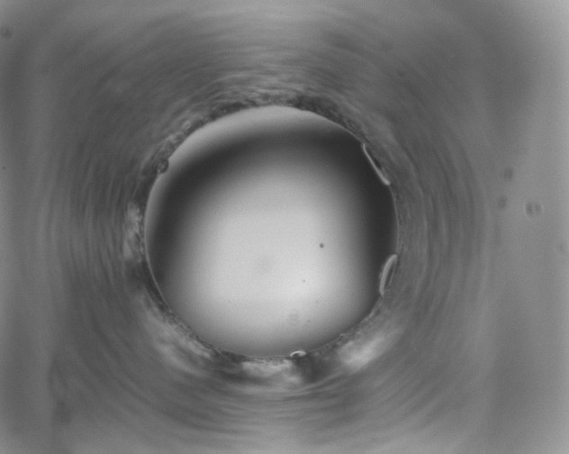 X0000062170480200512091435