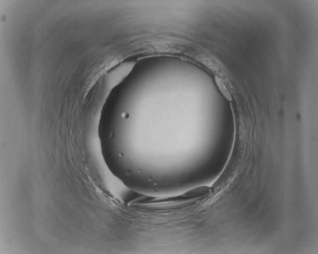 X0000062170481200512091434