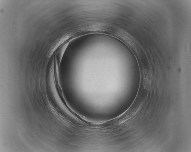 X0000062170482200512091434