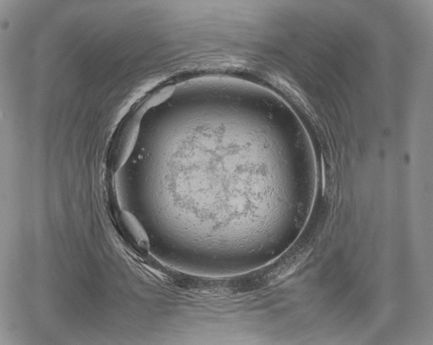 X0000062170483200512091434