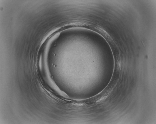 X0000062170484200512091434