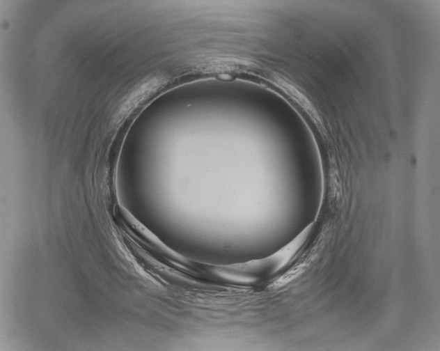 X0000062170485200512091434