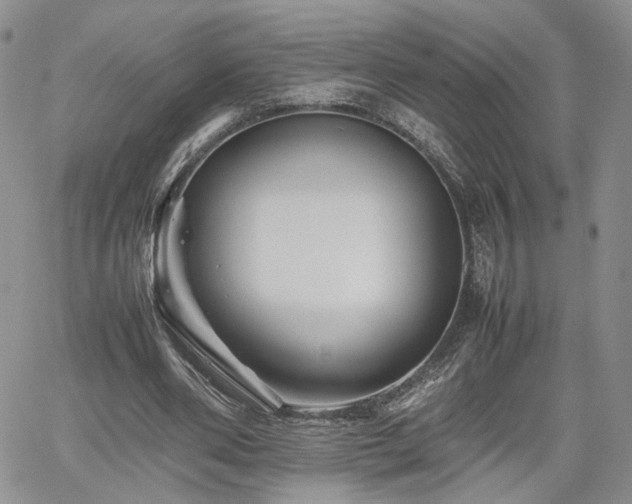 X0000062170486200512091434