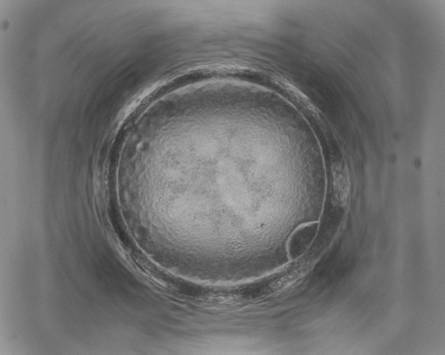 X0000062170487200512091434