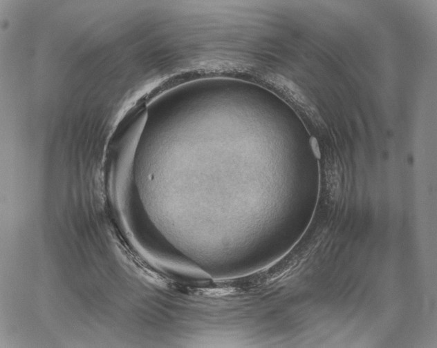 X0000062170488200512091434