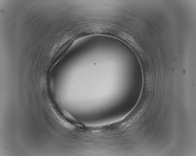 X0000062170489200512091434