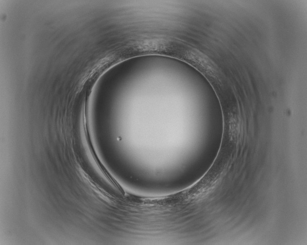 X0000062170490200512091434